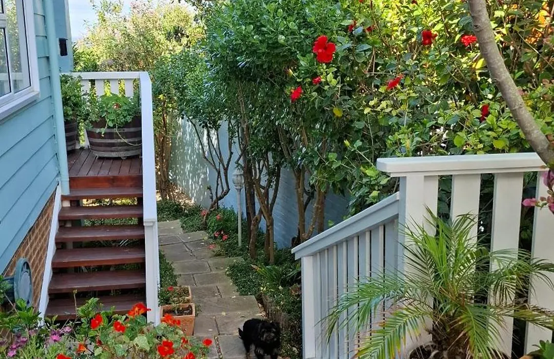 Belle Vue Guesthouse-1