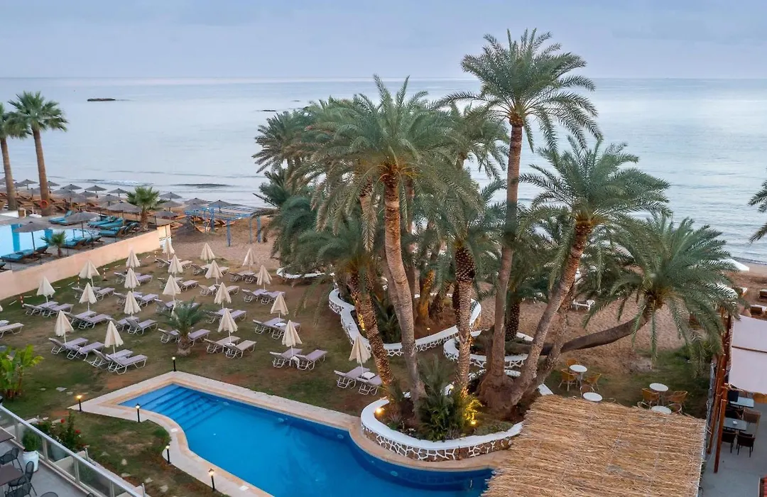Zeus Hotels Palm Beach-1