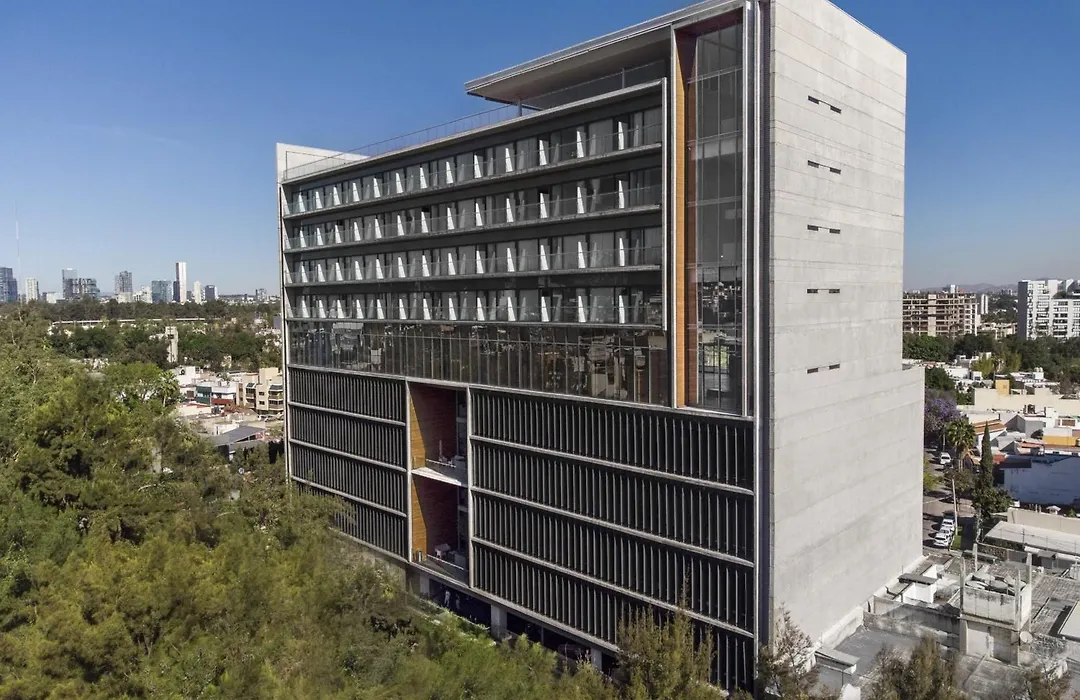 Voco Guadalajara Neruda By Ihg-1