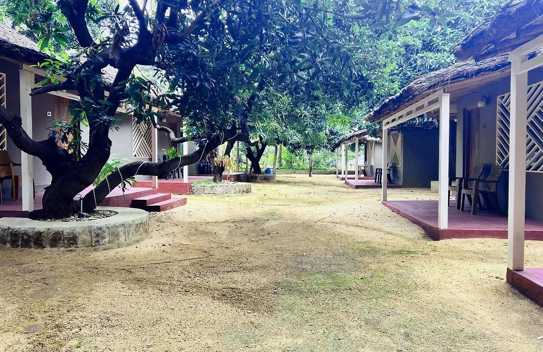 Hampi Village Jungle Resort-1