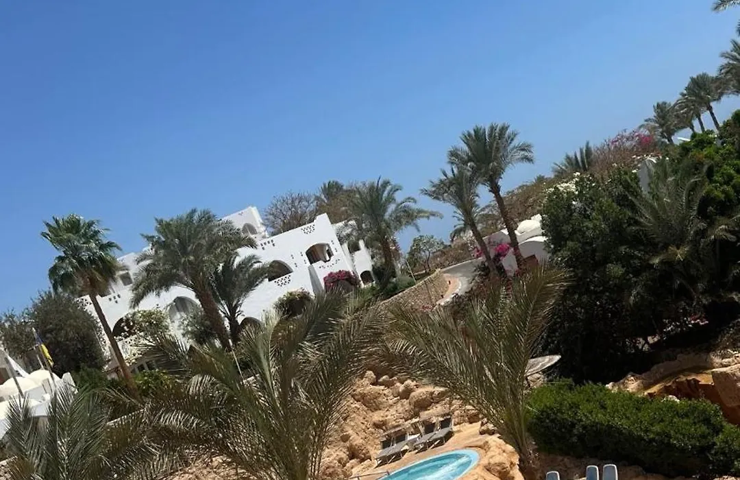 Domina Coral Bay-1