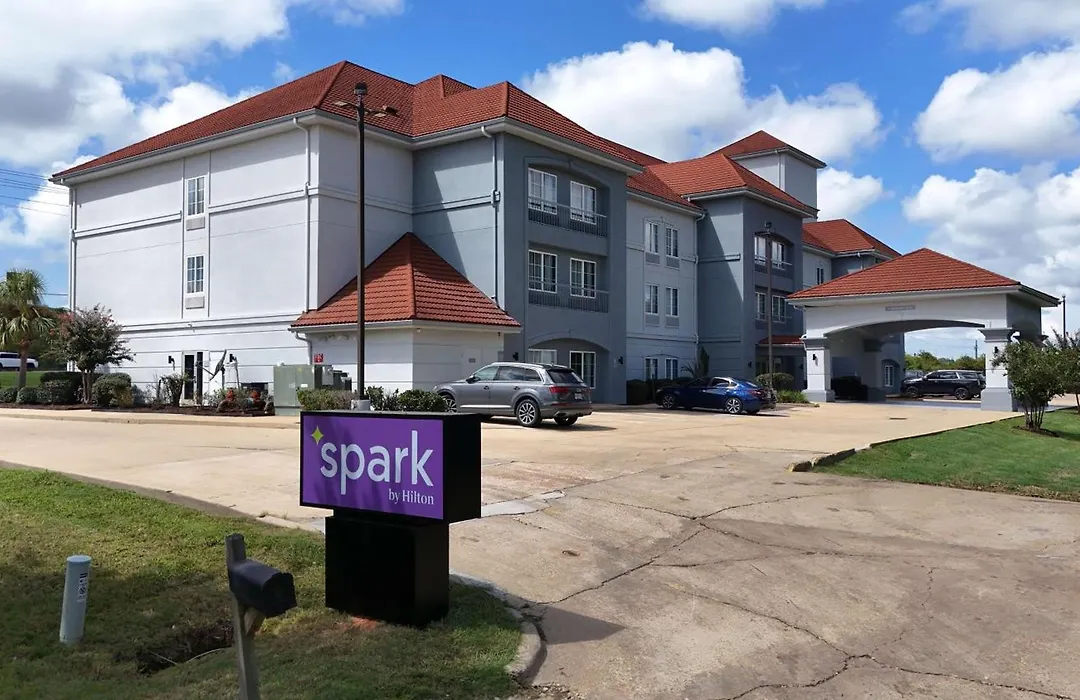 Spark By Hilton Brandon-1