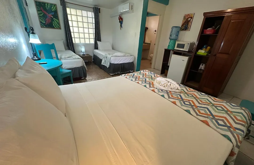 All Seasons Belize-1