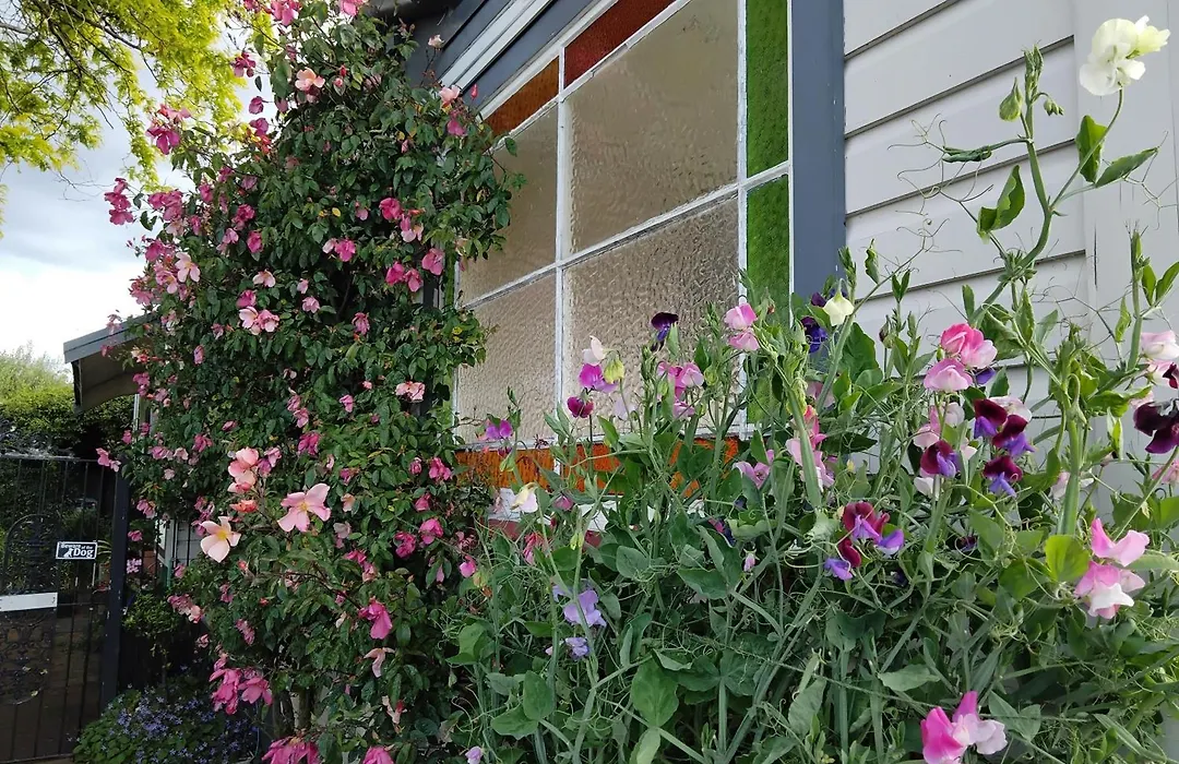 Guthrie Cottage-1