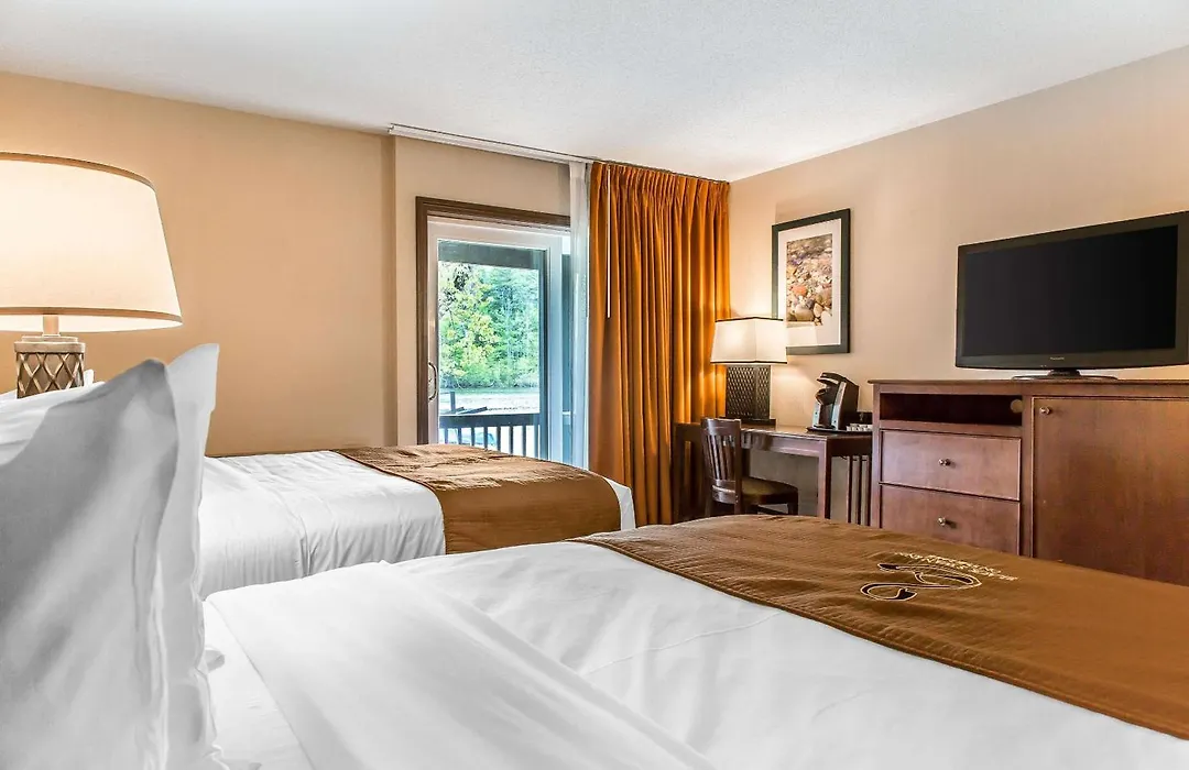 The Black Swan Lee - Lenox, An Ascend Collection Hotel-1