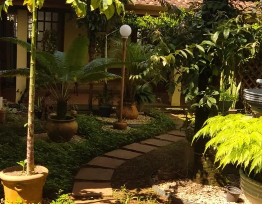 Suítes Jardim dos Sonhos-1