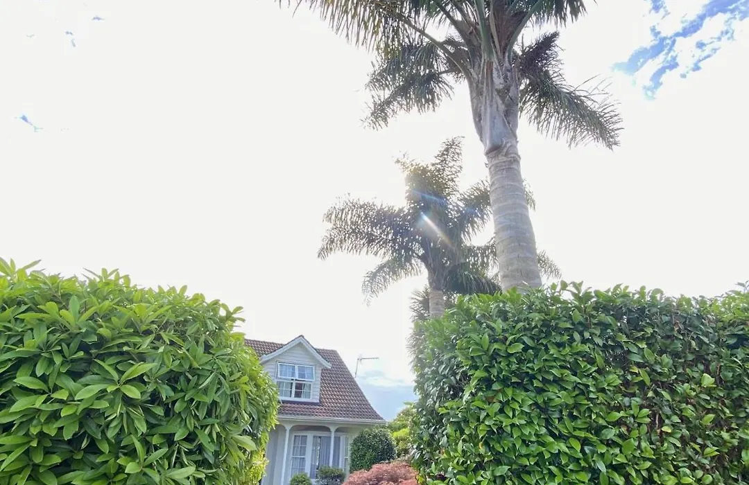 Two Palms Cambridge-1