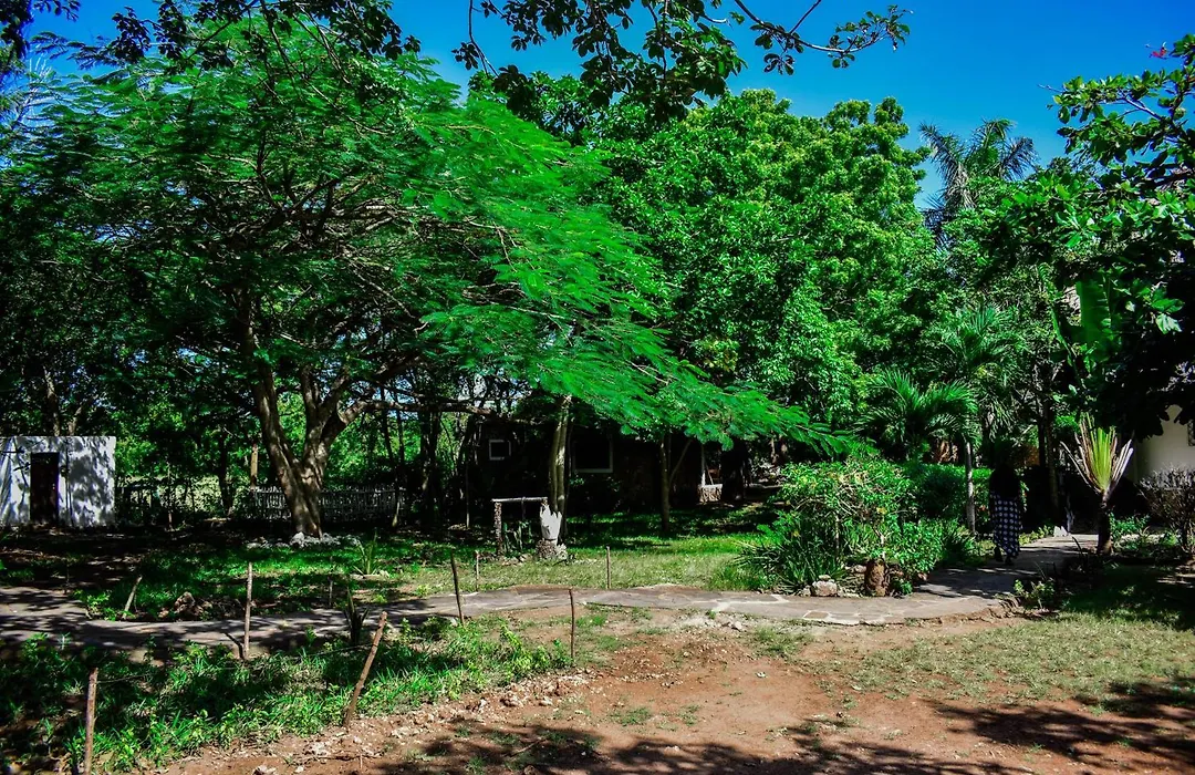 African Hut Tiny Cottage-1