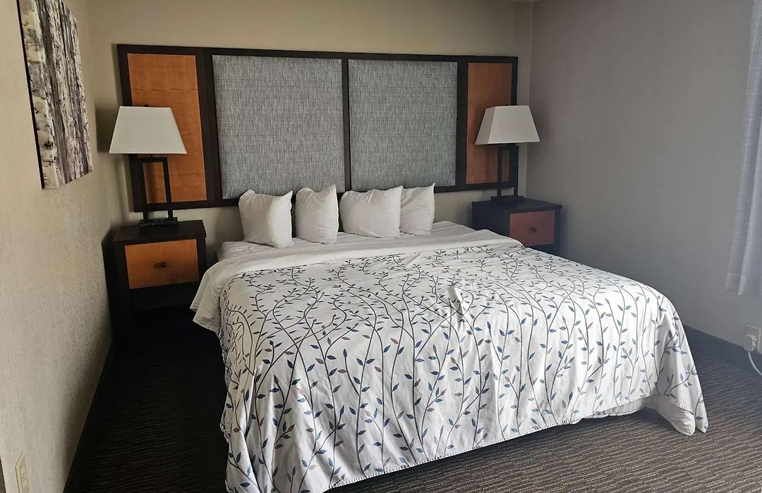 Americinn By Wyndham Birch Run - Frankenmuth-1
