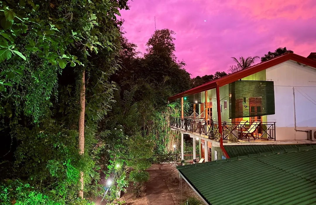 Nature House-1