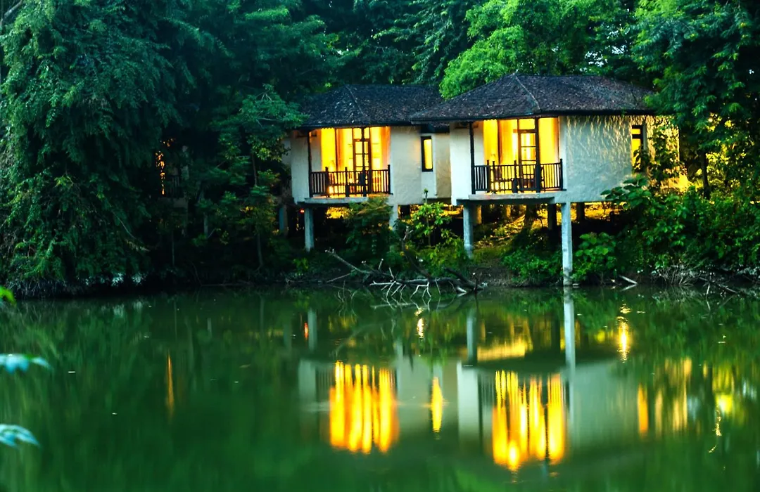 Banbas Resort, Chitwan-1