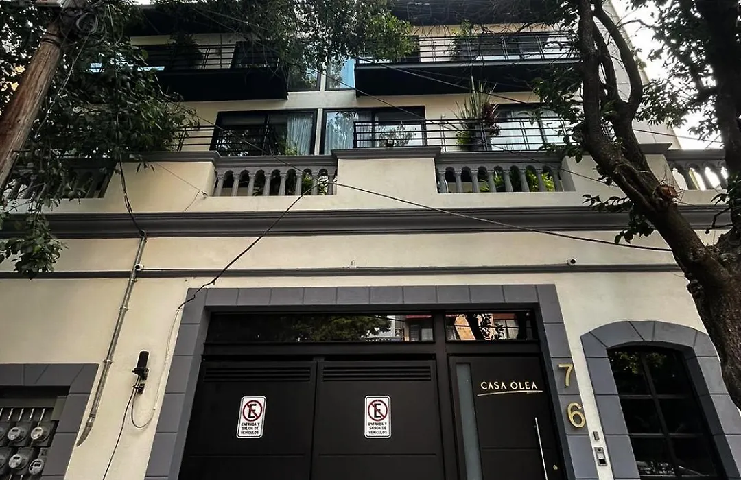 Casa Olea-1