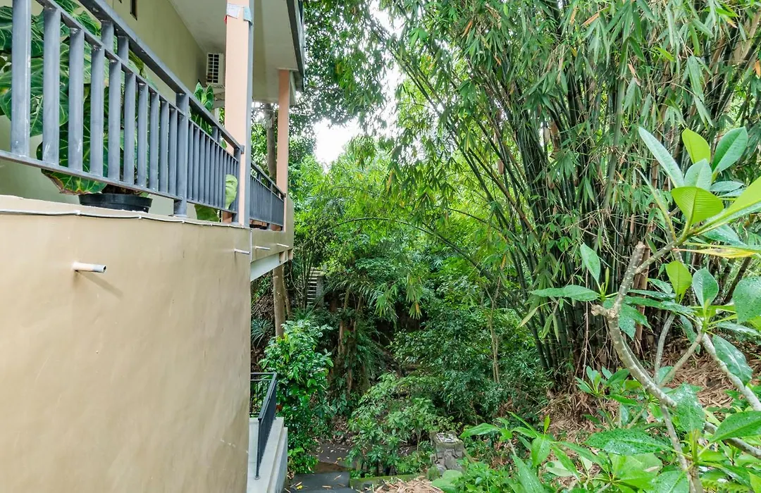 Bubu House Ubud-1