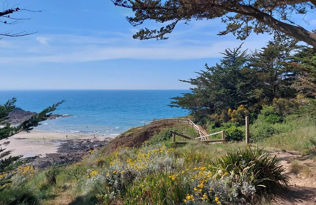 L'Escale Fleurie à Saint Brieuc-1