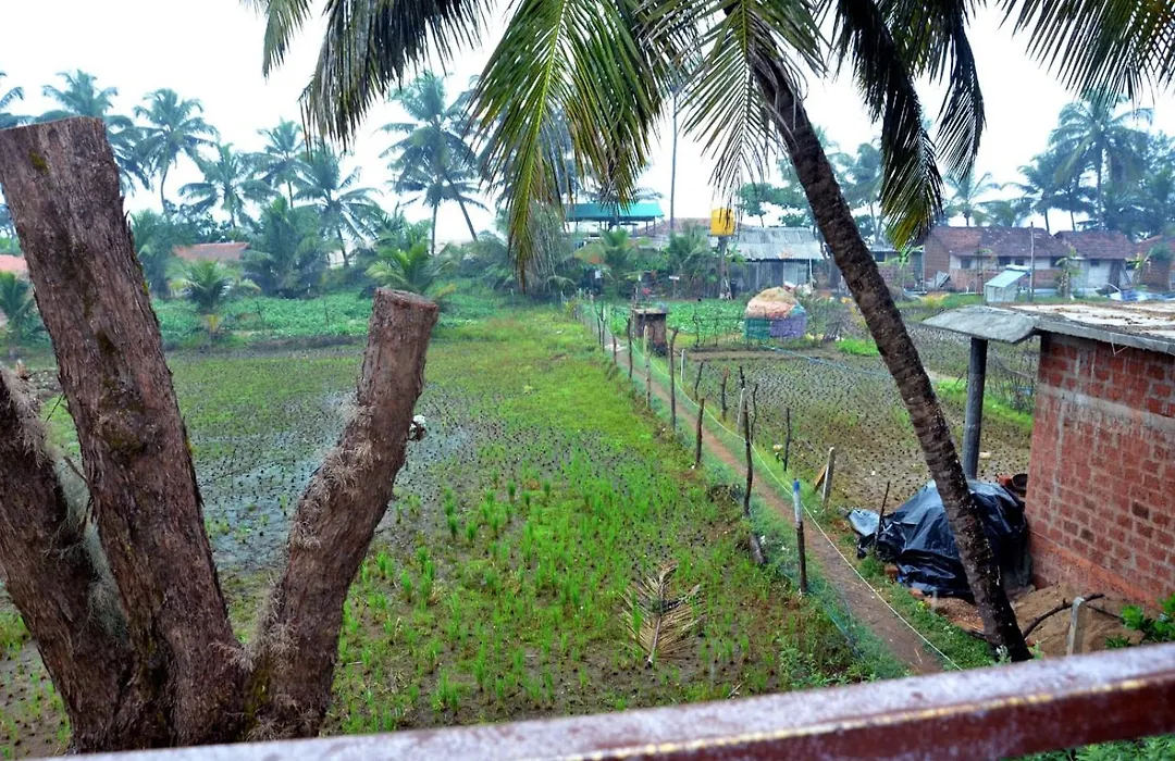 Kenchas Beach Resort-1