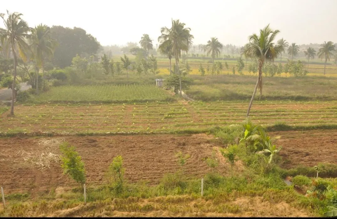 Suresh Guest House-1