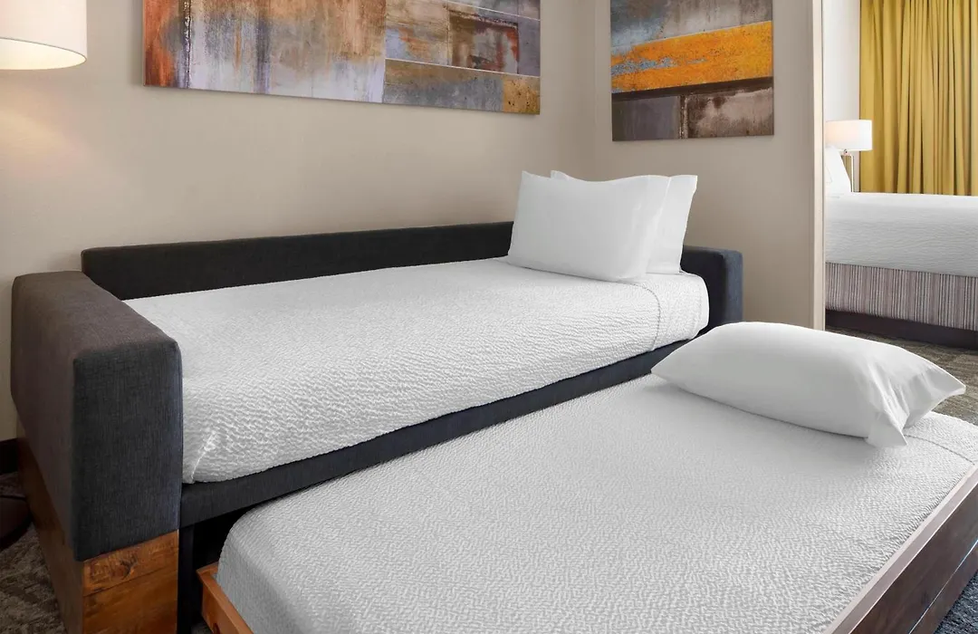 Springhill Suites Austin Round Rock-1