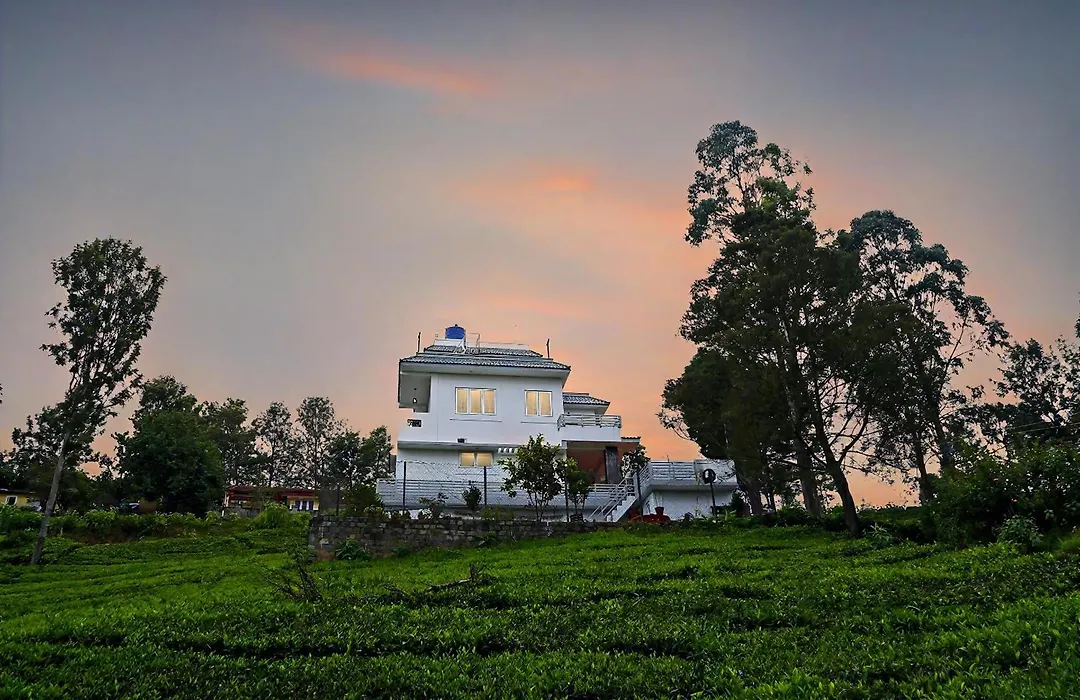 Hills Cottage- Annexe-1