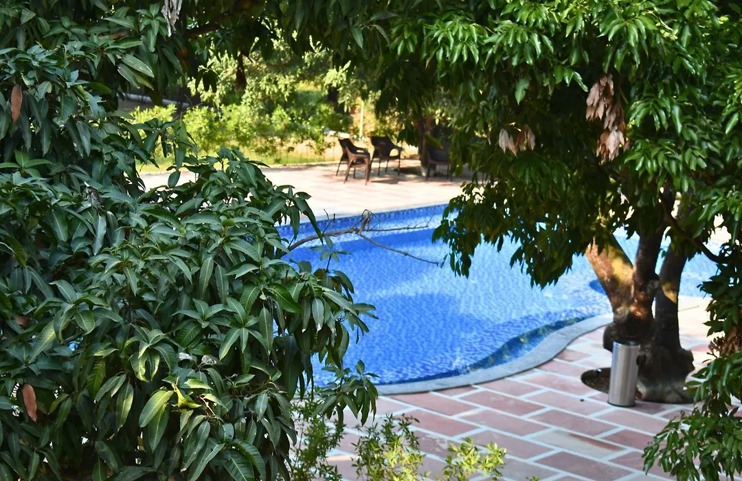 The Greenwich Resort-1