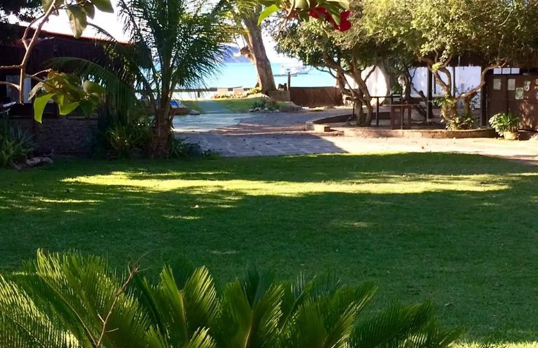 Yucas Búzios SUL-1