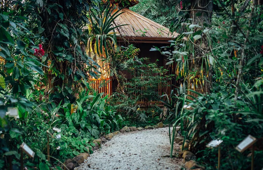 Ian Anderson Caves Branch Jungle Lodge-1