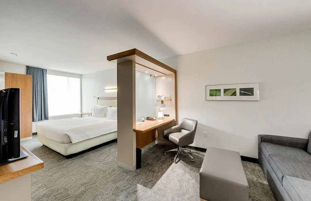 Springhill Suites By Marriott Houston The Woodlands-1