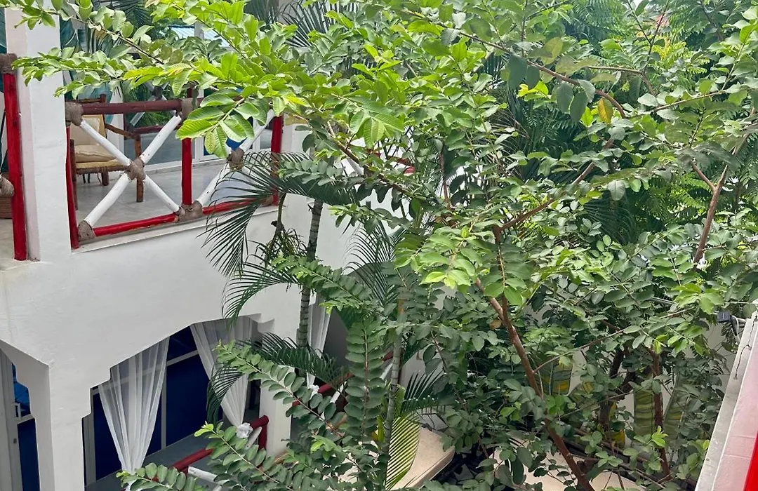 Pole Pole House-1