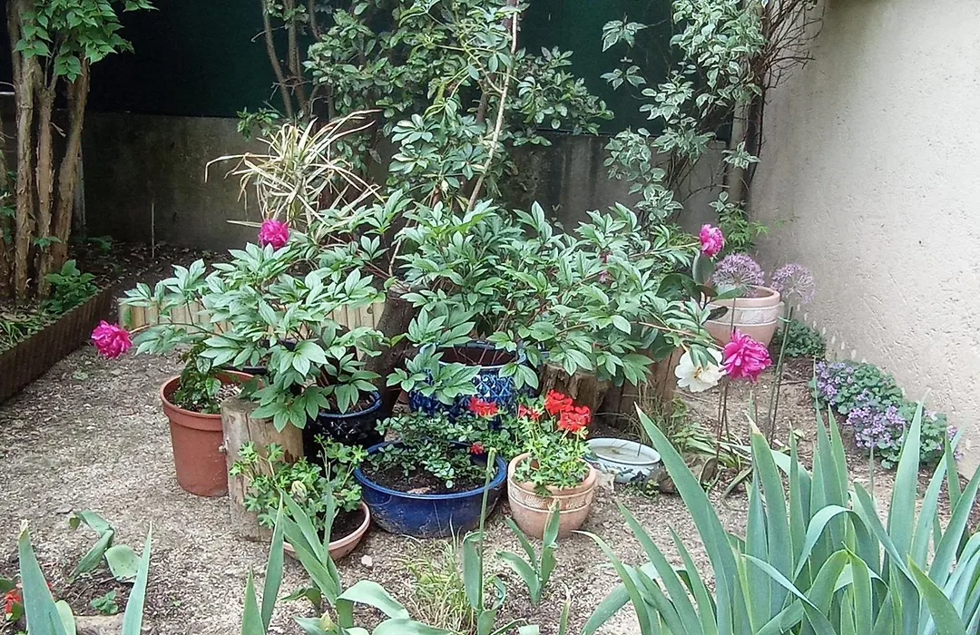 Iris Garden Cottage-1