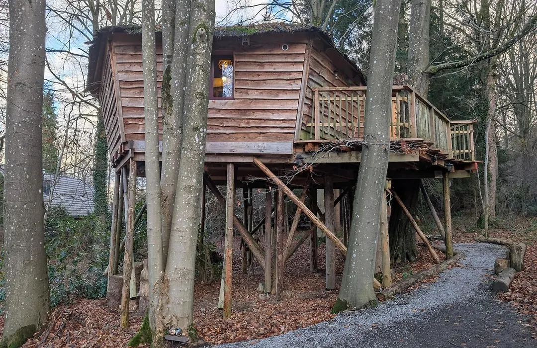 B&B Le Bois Dormant-1