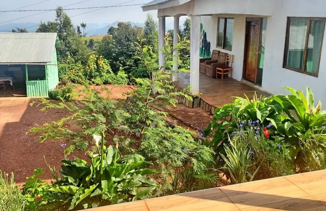 Ruhija Gorilla Guest House-1