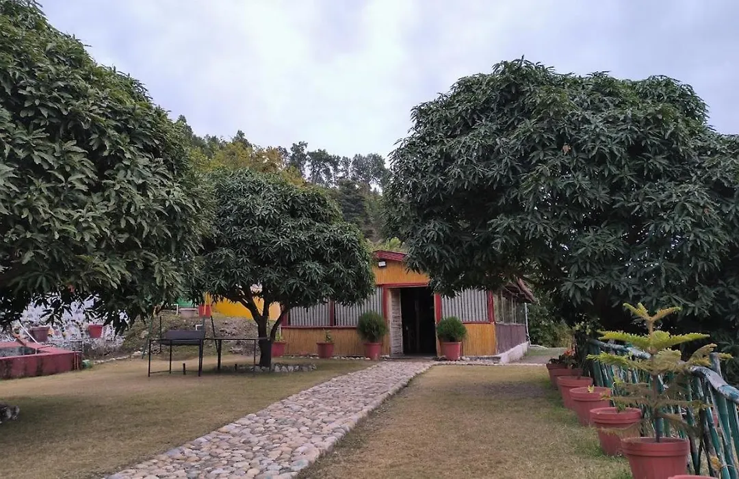 Forest Bliss Resort-1