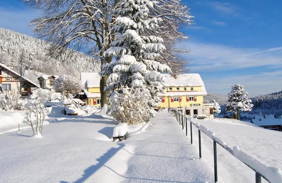 Gasthof-Pension Berghof-1
