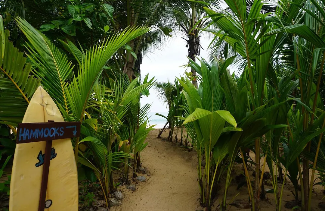 Oasis Bluff Beach-1
