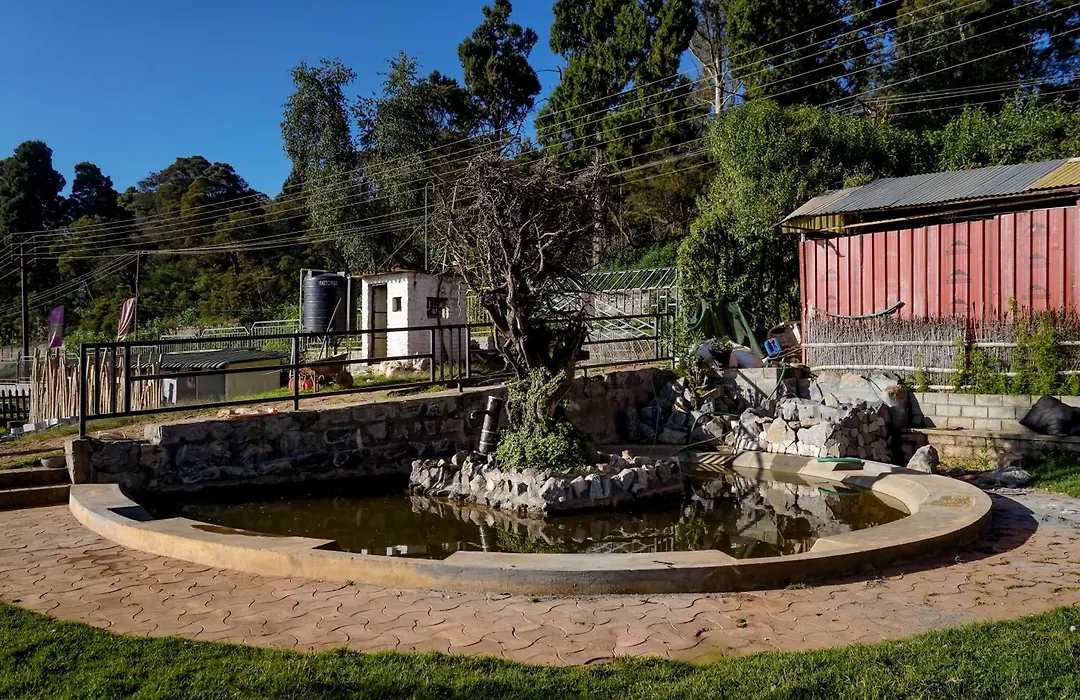 Virgin Valley Leisure Resort-1