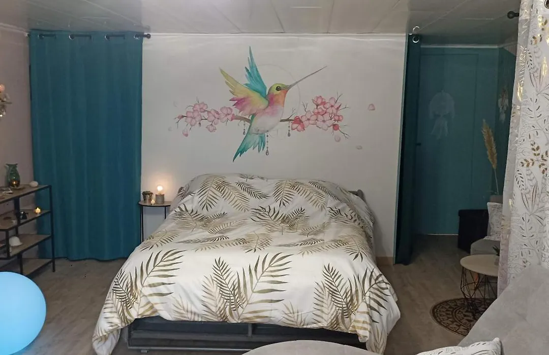 Le nid du Colibri-1