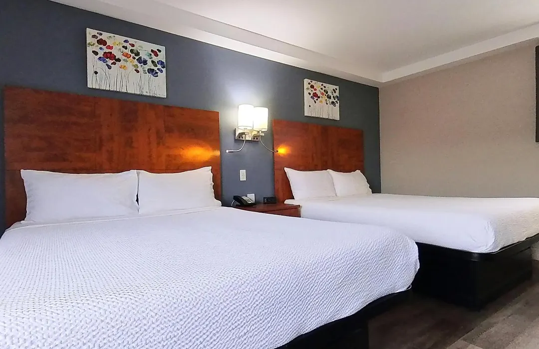 Moonlight Inn And Suites Sudbury-1