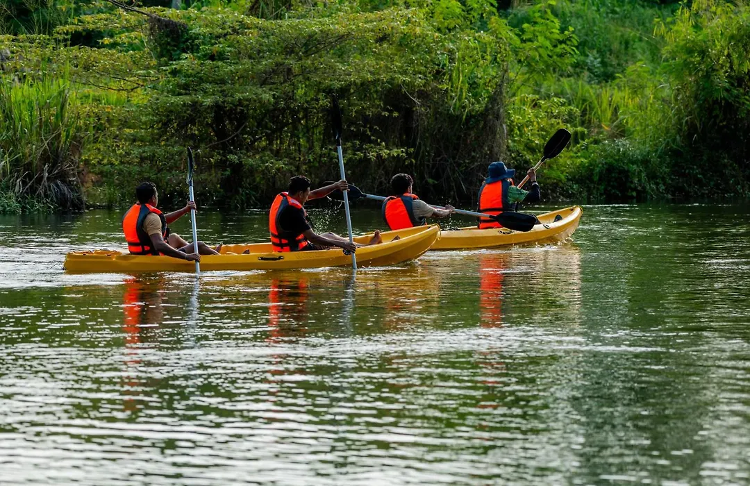 Waraka - Udawalawe By Thema Collection-1