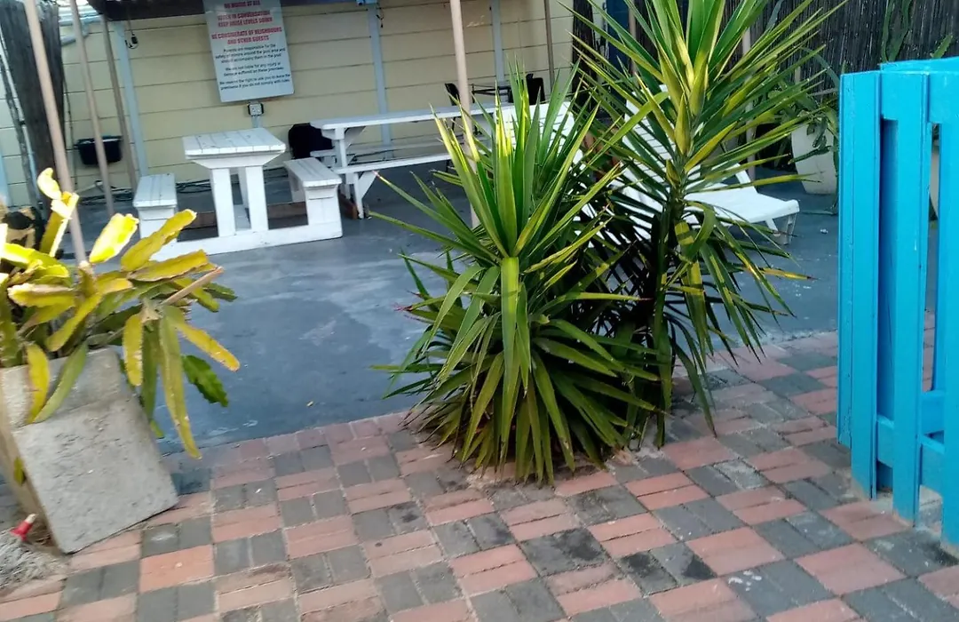 Sunshine Guest House-1