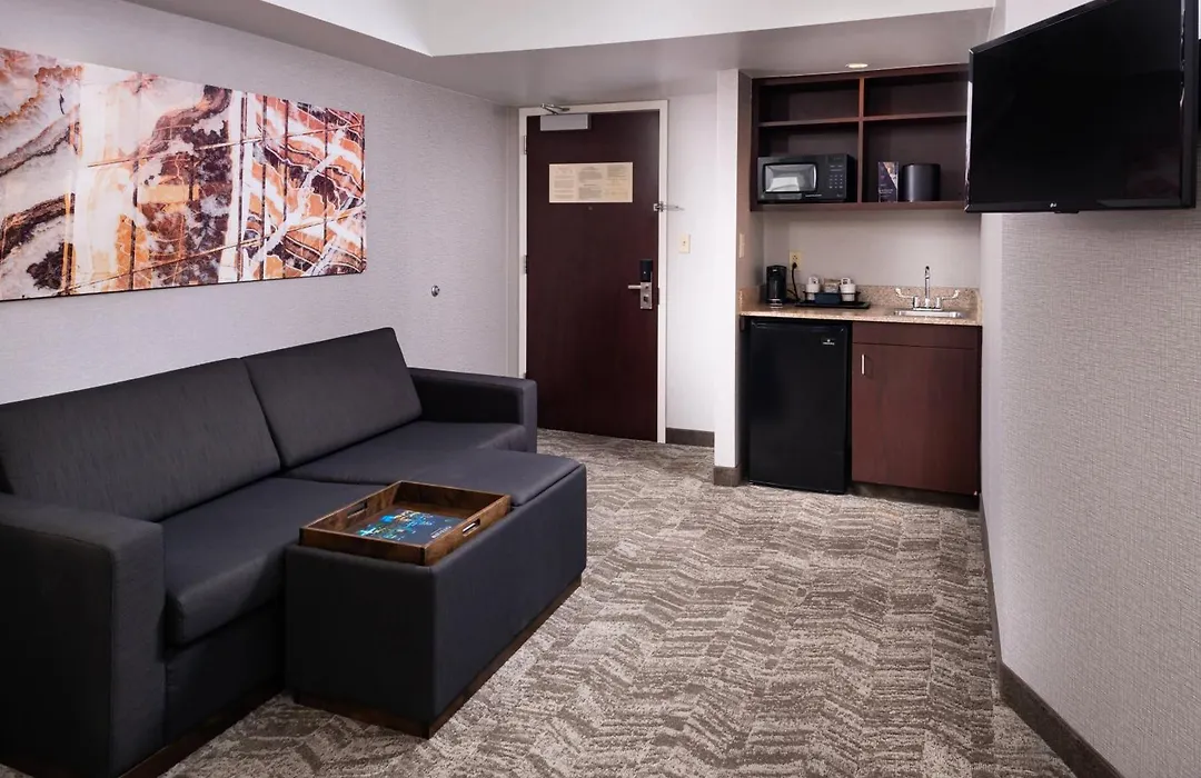 Springhill Suites By Marriott Pittsburgh North Shore-1