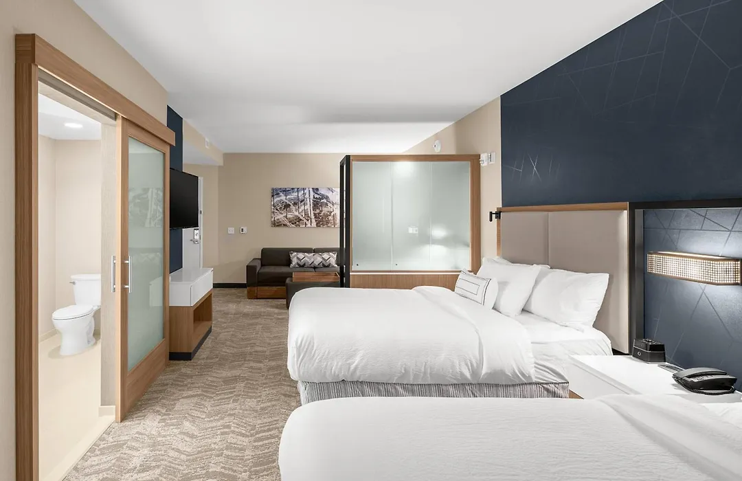 Springhill Suites By Marriott Jackson-1