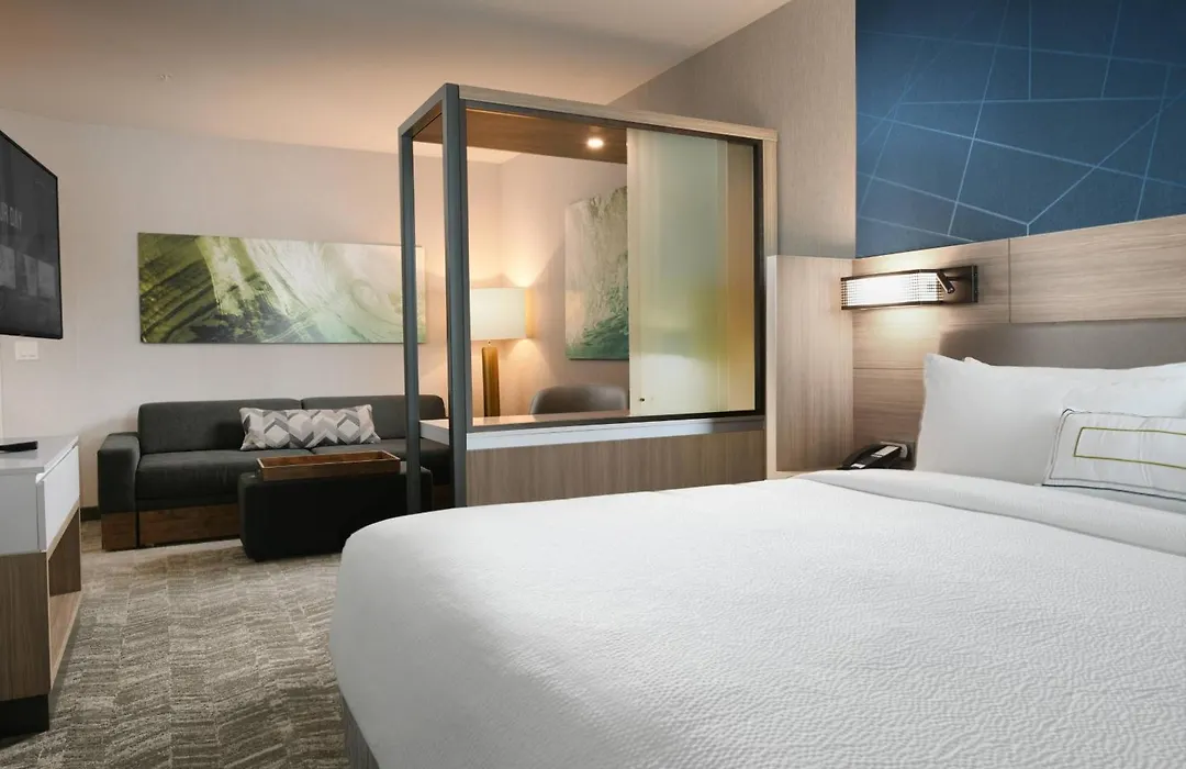 Springhill Suites Dallas Dfw Airport South/Centreport-1