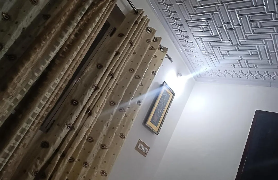 Nest Comfort Zone-1