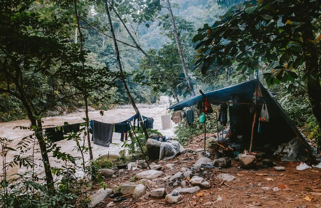 Fidodido Guesthouse Jungle Trekking-1
