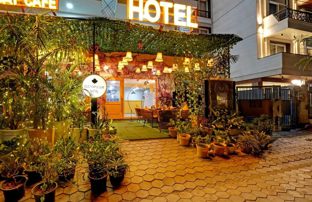 Airport Hotel Ivy-1