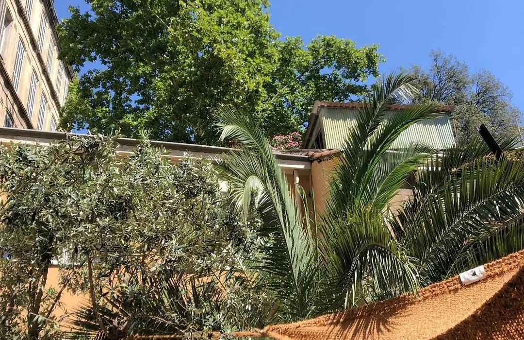 Maison Olea-1