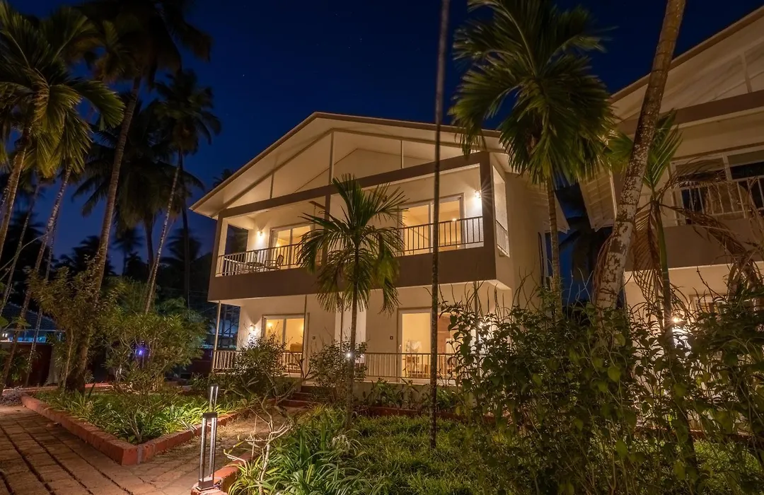Vits Select Casuarina Diveagar-1