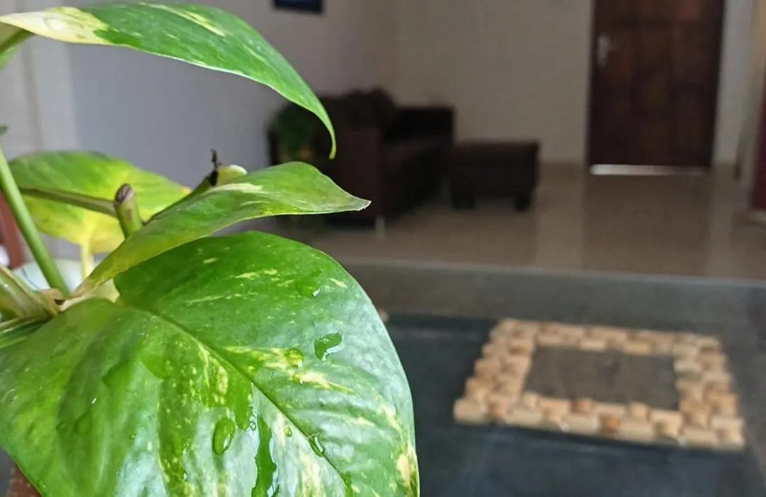 Friendlystay Prime-1