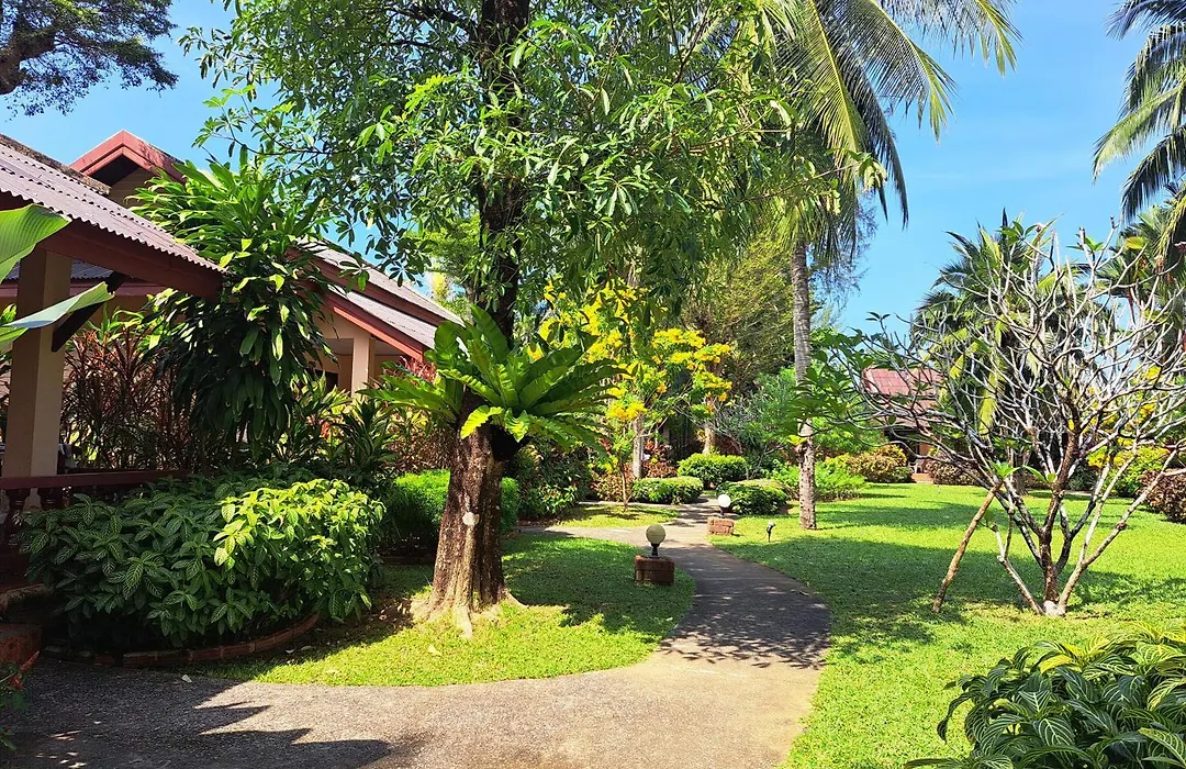 Jasmin Resort - SHA Plus-1