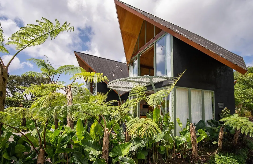 Black Wood Cabin-1