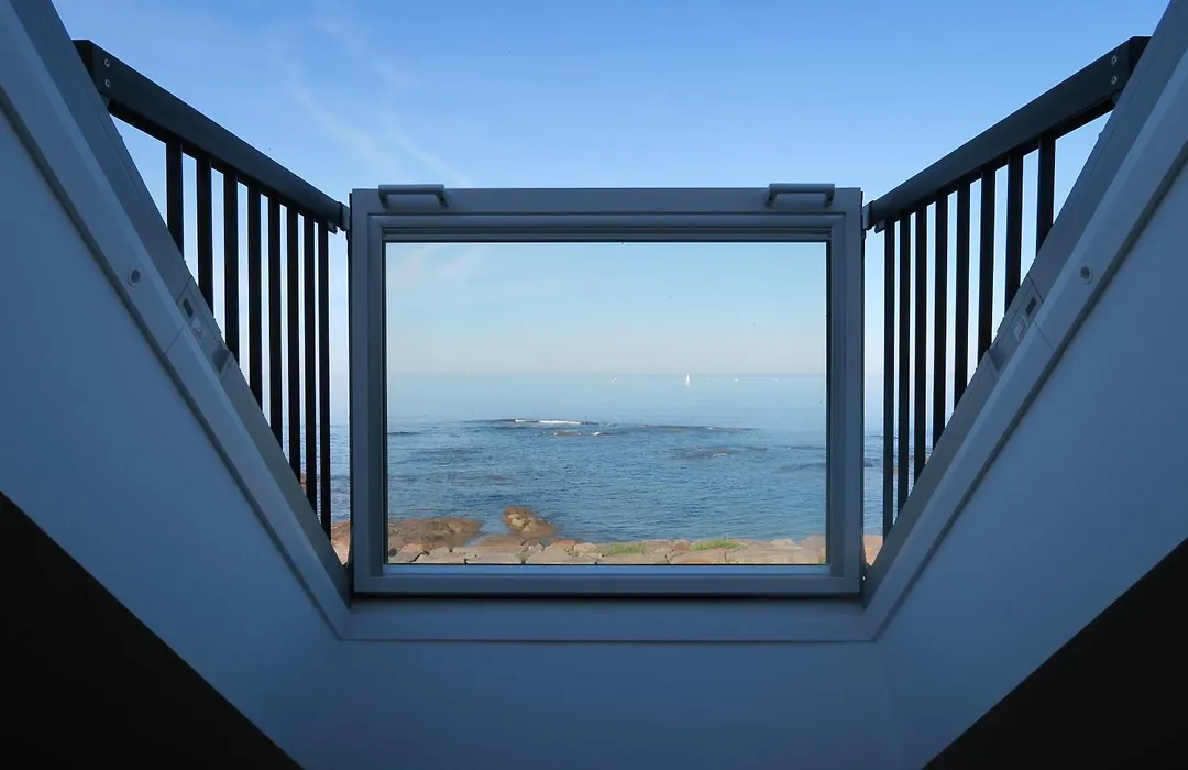 Vitamin Sea-1
